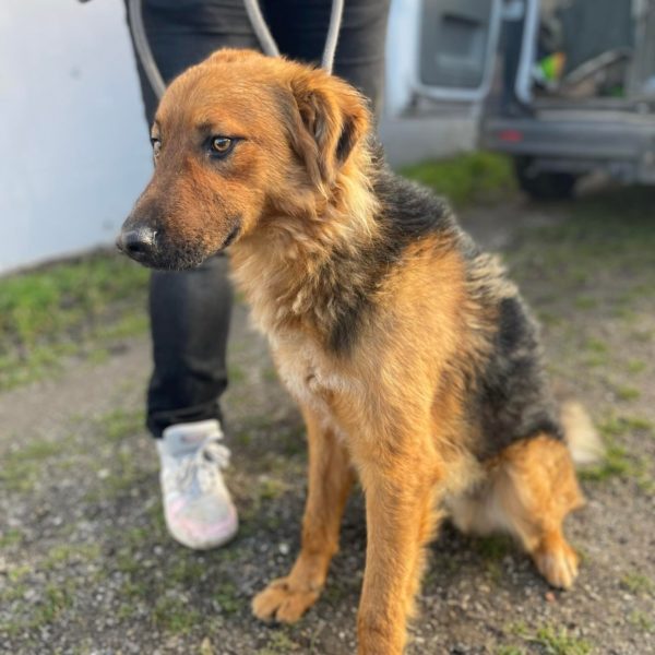 324502307_695370108915160_359642738914917353_n 324502307_695370108915160_359642738914917353_n