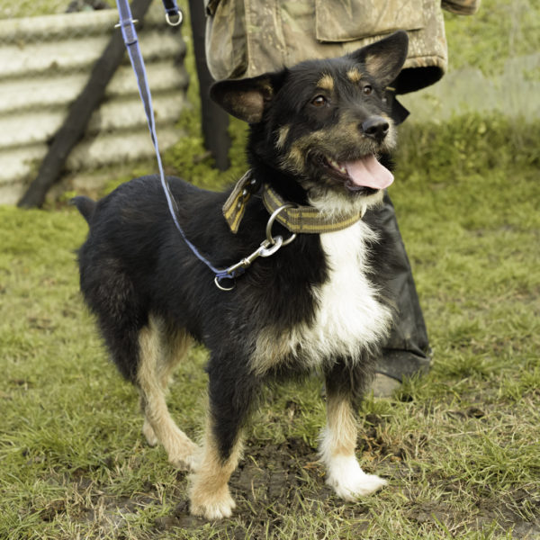 33_ebarvahaz_-007 33_ebarvahaz_-007