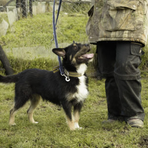 33_ebarvahaz_-010 33_ebarvahaz_-010