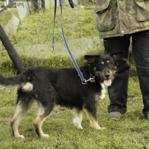 33_ebarvahaz_-011 33_ebarvahaz_-011