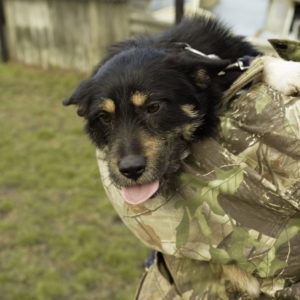 33_ebarvahaz_-013 33_ebarvahaz_-013