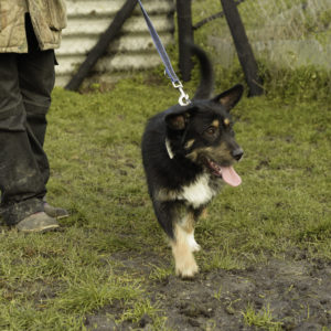 33_ebarvahaz_-021 33_ebarvahaz_-021