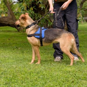 43_ebarvahaz_-223 43_ebarvahaz_-223