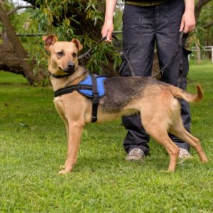 43_ebarvahaz_-225 43_ebarvahaz_-225