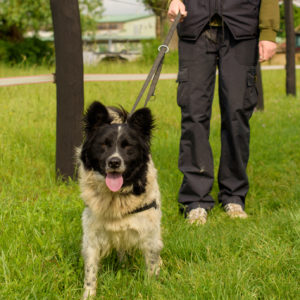 43_ebarvahaz_-010 43_ebarvahaz_-010