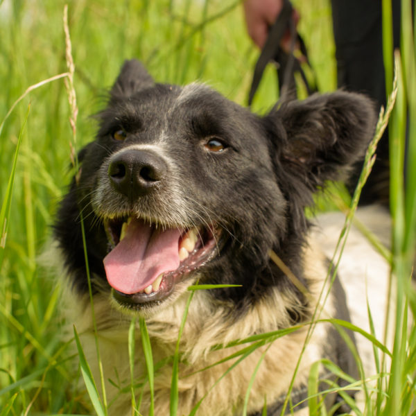 43_ebarvahaz_-013 43_ebarvahaz_-013