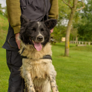 43_ebarvahaz_-037 43_ebarvahaz_-037