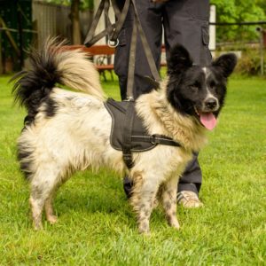 43_ebarvahaz_-045 43_ebarvahaz_-045