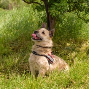 43_ebarvahaz_-209 43_ebarvahaz_-209