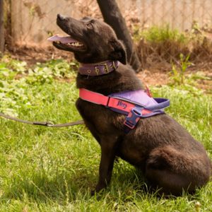 44_ebarvahaz_-072 44_ebarvahaz_-072