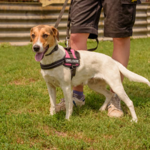 44_ebarvahaz_-110 44_ebarvahaz_-110