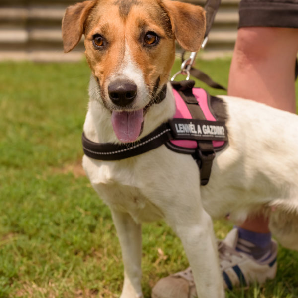 44_ebarvahaz_-111 44_ebarvahaz_-111