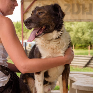 44_ebarvahaz_-162 44_ebarvahaz_-162