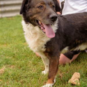 44_ebarvahaz_-171 44_ebarvahaz_-171