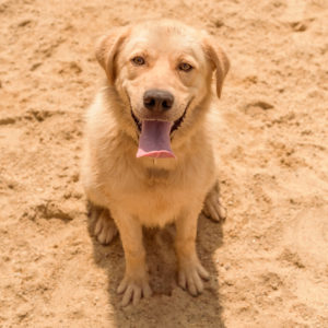 44_ebarvahaz_-212 44_ebarvahaz_-212