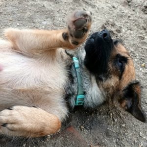 20230920_104237 20230920_104237