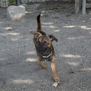 382987104_653047956940930_7898760532947905941_n 382987104_653047956940930_7898760532947905941_n