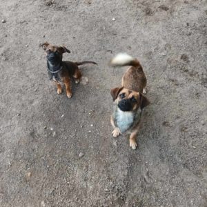 384129836_653051300273929_3914532866587629601_n 384129836_653051300273929_3914532866587629601_n