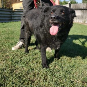 386086674_659209246324801_3305740580272706043_n