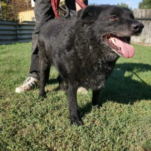 386091699_659209222991470_1384498199371659618_n