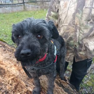 415181968_705889578323434_7945699073793436492_n 415181968_705889578323434_7945699073793436492_n