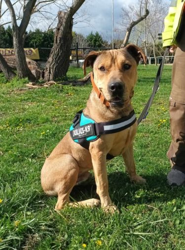 434843432_758772423035149_8094990208247919659_n