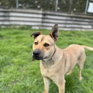 438327598_769995411912850_2854565884499634098_n