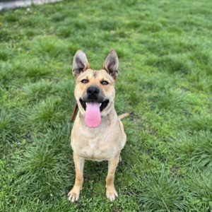 438706769_769995441912847_6644066067081579508_n