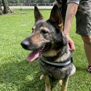 447968384_800586028853788_2089096569994192245_n