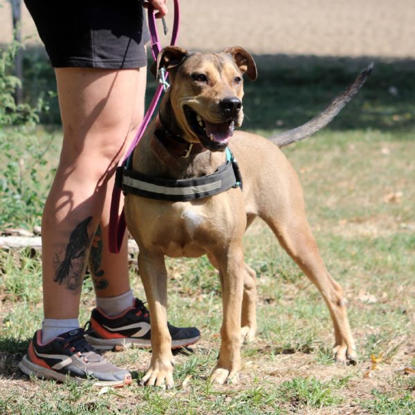 Vilinger22_0 Vilinger22_0