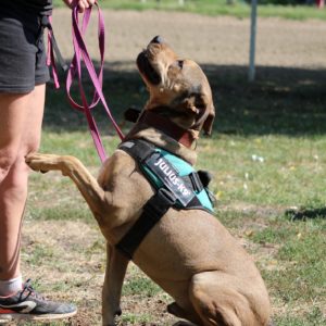 Vilinger28_0 Vilinger28_0