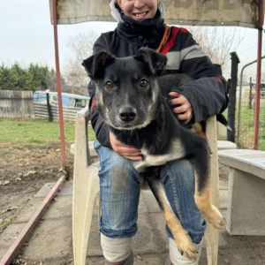 462574177_4036157563328501_5302836616861612384_n