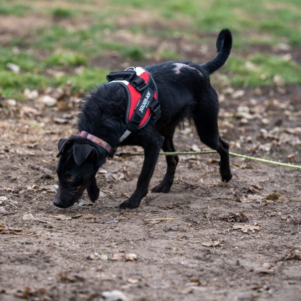 469077758_922090223370034_925428905299097332_n 469077758_922090223370034_925428905299097332_n