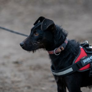 469079029_922090113370045_7261483968169813138_n 469079029_922090113370045_7261483968169813138_n