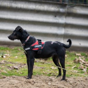 469150354_922090340036689_2721900494710391658_n 469150354_922090340036689_2721900494710391658_n