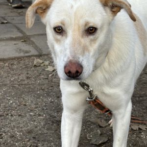 469331882_922541376658252_4026975634393043773_n