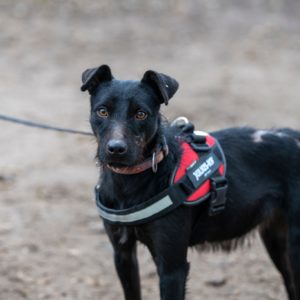 469509737_922090220036701_5522840871968333220_n 469509737_922090220036701_5522840871968333220_n