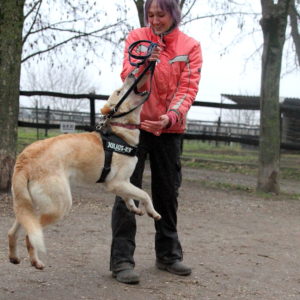 Szamóca51 Szamóca51