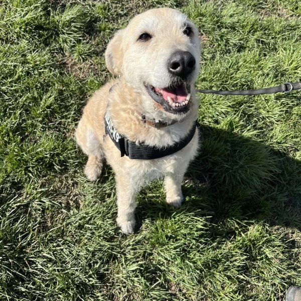 Sziszike10 Sziszike10