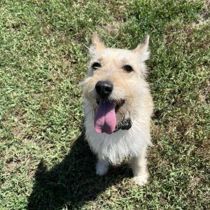 Szöszike3 Szöszike3