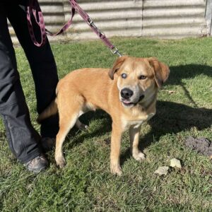 showzsák4 showzsák4