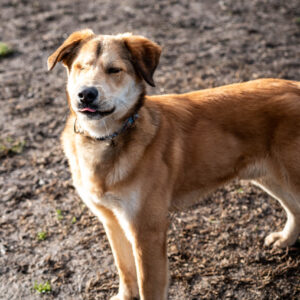 Show-Zsák28 Show-Zsák28